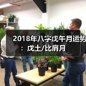 2018年八字戊午月运势:戊土/比肩月(图4) 2018年八字戊午月运势:戊土/比肩月(图4)
