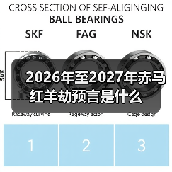 2026年至2027年赤马红羊劫预言是什么(图2) 2026年至2027年赤马红羊劫预言是什么(图2)
