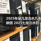 2025年是几龙治水几牛耕田 2025七龙治水四牛耕田寓意(图2) 2025年是几龙治水几牛耕田 2025七龙治水四牛耕田寓意(图2)
