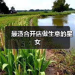 最适合开店做生意的星女（图2）