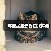 哪些星座最爱自我欺骗(图3) 哪些星座最爱自我欺骗(图3)