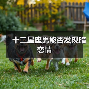 十二星座男能否发现暗恋情(图2) 十二星座男能否发现暗恋情(图2)