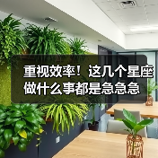 重视效率!这几个星座做什么事都是急急急(图2) 重视效率!这几个星座做什么事都是急急急(图2)