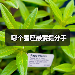 哪个星座最爱提分手(图2) 哪个星座最爱提分手(图2)