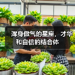 浑身傲气的星座,才华和自信的结合体(图1) 浑身傲气的星座,才华和自信的结合体(图1)