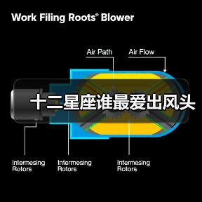 十二星座谁最爱出风头(图3) 十二星座谁最爱出风头(图3)