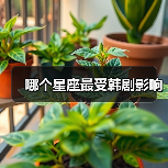 哪个星座最受韩剧影响(图3) 哪个星座最受韩剧影响(图3)