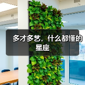 多才多艺,什么都懂的星座(图3) 多才多艺,什么都懂的星座(图3)