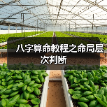 八字算命教程之命局层次判断（图4）