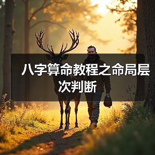 八字算命教程之命局层次判断(图3) 八字算命教程之命局层次判断(图3)
