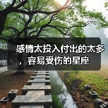 感情太投入付出的太多,容易受伤的星座(图4) 感情太投入付出的太多,容易受伤的星座(图4)