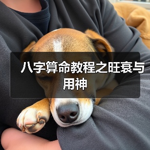八字算命教程之旺衰与用神(图1) 八字算命教程之旺衰与用神(图1)