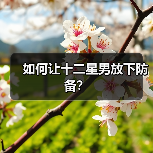如何让十二星男放下防备?(图1) 如何让十二星男放下防备?(图1)