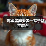 哪些星座夫妻一辈子都在磨合(图2) 哪些星座夫妻一辈子都在磨合(图2)