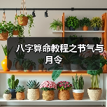 八字算命教程之节气与月令(图3) 八字算命教程之节气与月令(图3)