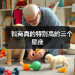 智商真的特别高的三个星座（图1）