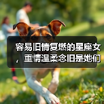 容易旧情复燃的星座女,重情温柔念旧是她们的标签(图2) 容易旧情复燃的星座女,重情温柔念旧是她们的标签(图2)