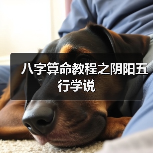 八字算命教程之阴阳五行学说(图4) 八字算命教程之阴阳五行学说(图4)