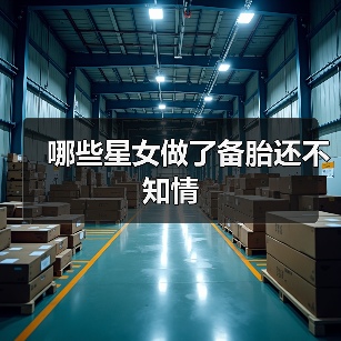 哪些星女做了备胎还不知情（图2）