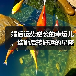 婚后运势逆袭的幸运儿,结婚后转好运的星座(图2) 婚后运势逆袭的幸运儿,结婚后转好运的星座(图2)