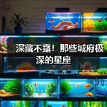 深藏不露!那些城府极深的星座(图1) 深藏不露!那些城府极深的星座(图1)