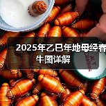2025年乙巳年地母经春牛图详解(图4) 2025年乙巳年地母经春牛图详解(图4)