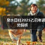 癸水日柱2025乙巳年运势解析(图2) 癸水日柱2025乙巳年运势解析(图2)