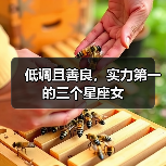 低调且善良,实力第一的三个星座女(图4) 低调且善良,实力第一的三个星座女(图4)