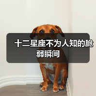 十二星座不为人知的脆弱瞬间(图3) 十二星座不为人知的脆弱瞬间(图3)