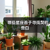 哪些星座善于寻找契机告白(图4) 哪些星座善于寻找契机告白(图4)