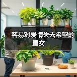 容易对爱情失去希望的星女(图1) 容易对爱情失去希望的星女(图1)
