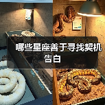 哪些星座善于寻找契机告白(图1) 哪些星座善于寻找契机告白(图1)