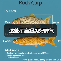 这些星座超级好脾气(图3) 这些星座超级好脾气(图3)