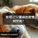 如何让12星座的友情之树常青?(图4) 如何让12星座的友情之树常青?(图4)