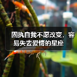 固执自我不愿改变,容易失去爱情的星座(图3) 固执自我不愿改变,容易失去爱情的星座(图3)