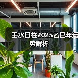 壬水日柱2025乙巳年运势解析(图3) 壬水日柱2025乙巳年运势解析(图3)