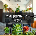 辛金日柱2025乙巳年运势解析(图2) 辛金日柱2025乙巳年运势解析(图2)