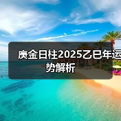 庚金日柱2025乙巳年运势解析(图3) 庚金日柱2025乙巳年运势解析(图3)