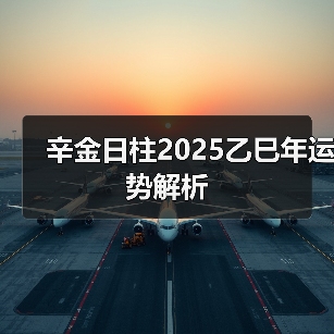 辛金日柱2025乙巳年运势解析(图3) 辛金日柱2025乙巳年运势解析(图3)