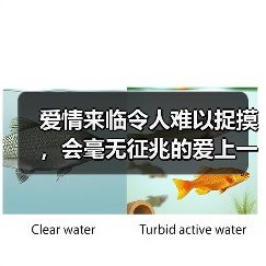 爱情来临令人难以捉摸,会毫无征兆的爱上一个人的星座(图3) 爱情来临令人难以捉摸,会毫无征兆的爱上一个人的星座(图3)