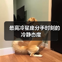 最高冷星座分手时刻的冷静态度(图2) 最高冷星座分手时刻的冷静态度(图2)