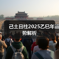 己土日柱2025乙巳年运势解析(图4) 己土日柱2025乙巳年运势解析(图4)
