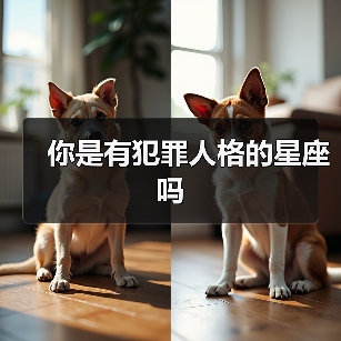 你是有犯罪人格的星座吗(图2) 你是有犯罪人格的星座吗(图2)