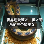 容易遭受嫉妒,被人羡慕的三个星座女(图1) 容易遭受嫉妒,被人羡慕的三个星座女(图1)