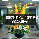 情场老司机,12星男谁的驾龄最长(图2) 情场老司机,12星男谁的驾龄最长(图2)