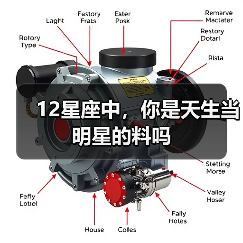12星座中,你是天生当明星的料吗(图4) 12星座中,你是天生当明星的料吗(图4)
