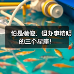 怕是装傻,但办事精明的三个星座!(图1) 怕是装傻,但办事精明的三个星座!(图1)