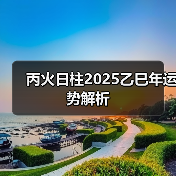 丙火日柱2025乙巳年运势解析（图1）