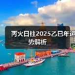丙火日柱2025乙巳年运势解析(图3) 丙火日柱2025乙巳年运势解析(图3)