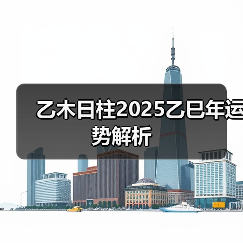 乙木日柱2025乙巳年运势解析(图2) 乙木日柱2025乙巳年运势解析(图2)